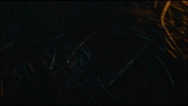 Possession - Season 01 Episode 05